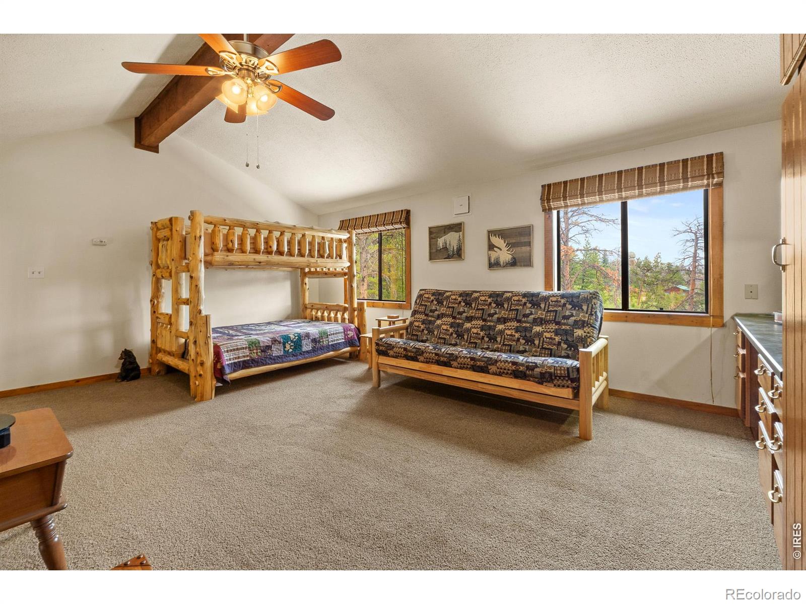 MLS Image #20 for 27  tewa court,red feather lakes, Colorado