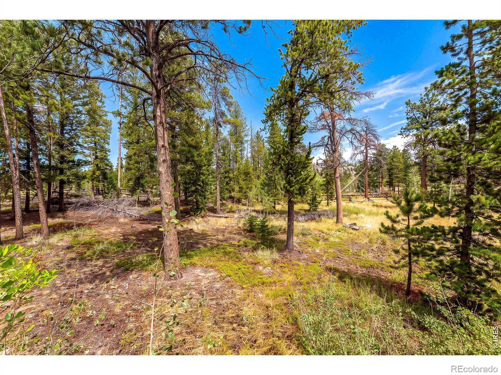 MLS Image #33 for 27  tewa court,red feather lakes, Colorado