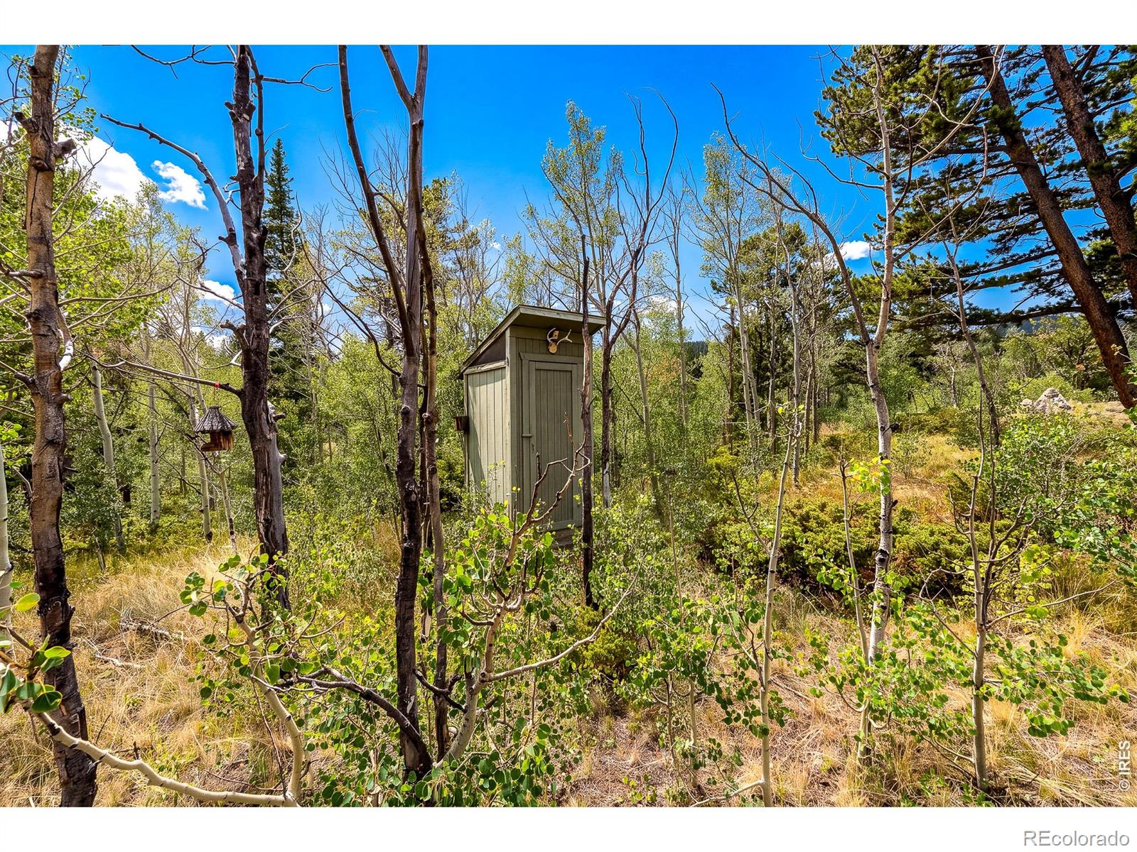 MLS Image #37 for 27  tewa court,red feather lakes, Colorado