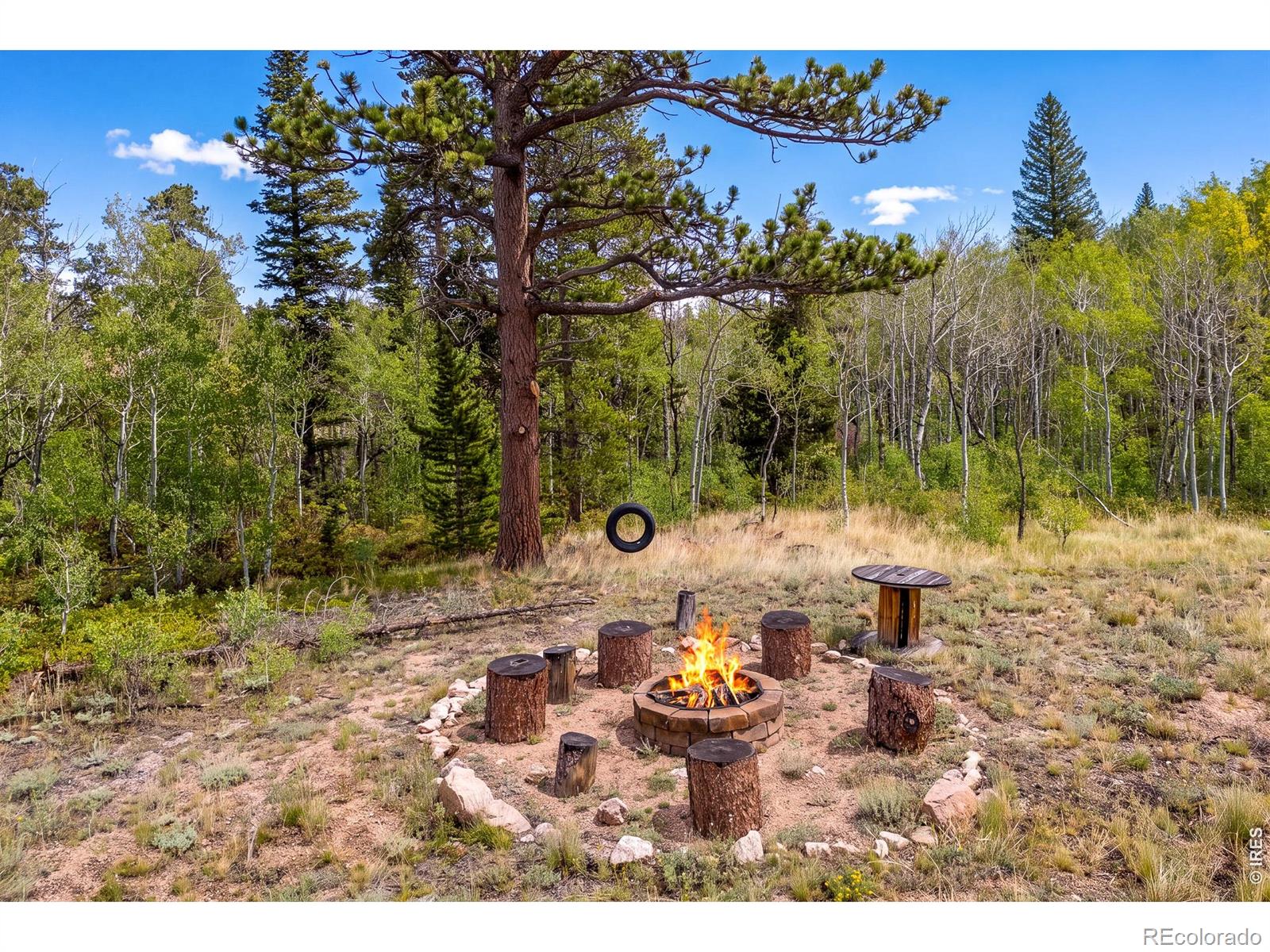 MLS Image #5 for 27  tewa court,red feather lakes, Colorado