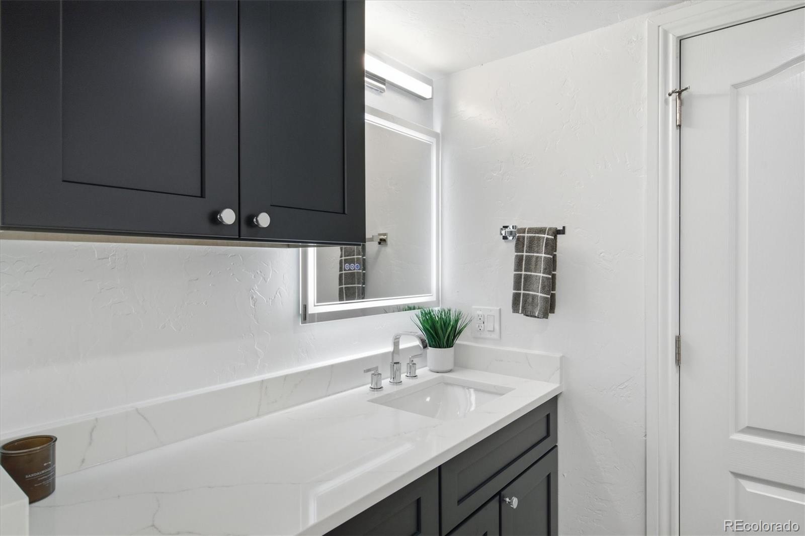 MLS Image #20 for 2244  balsam street,denver, Colorado