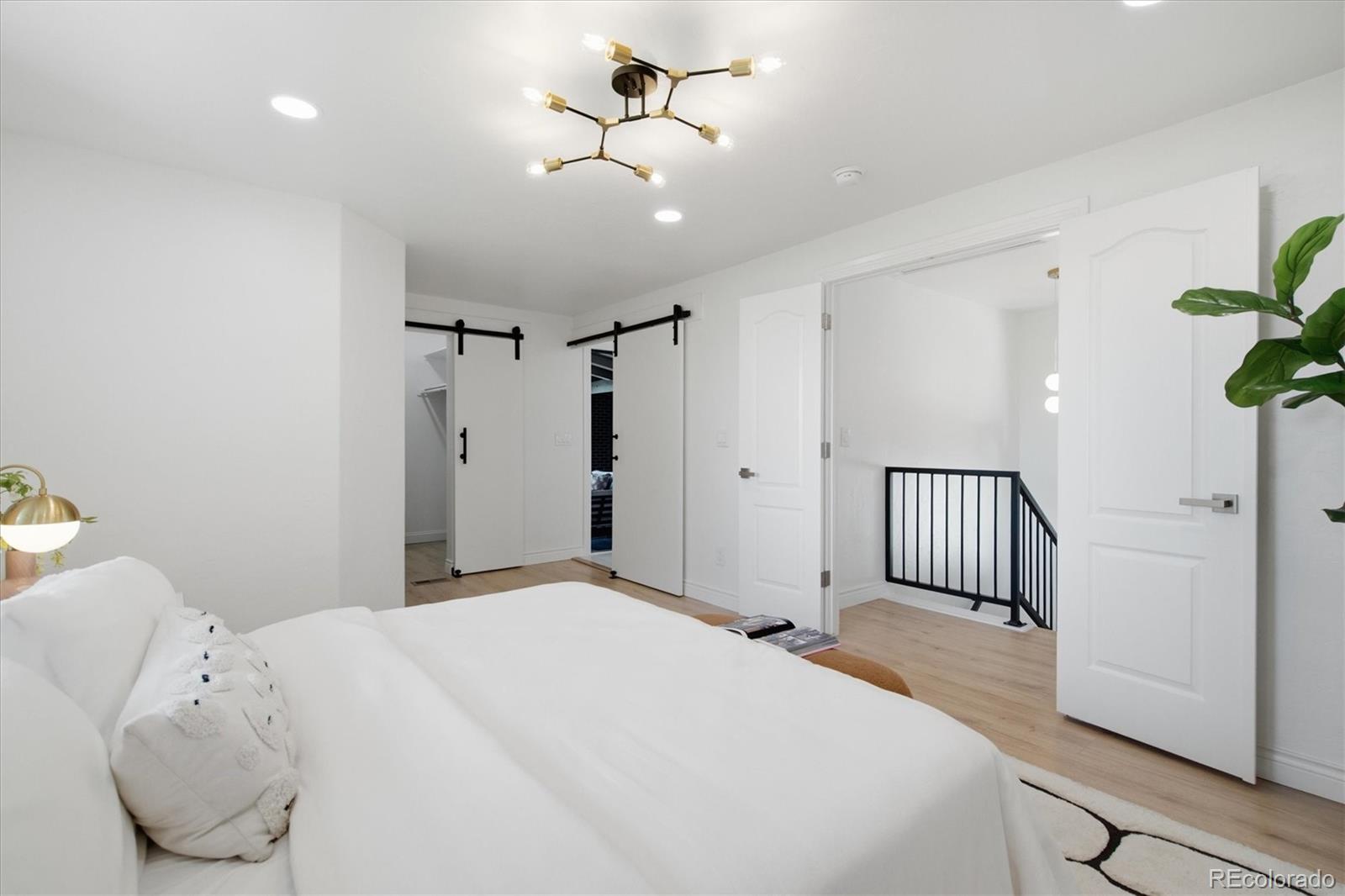 MLS Image #24 for 2244  balsam street,denver, Colorado