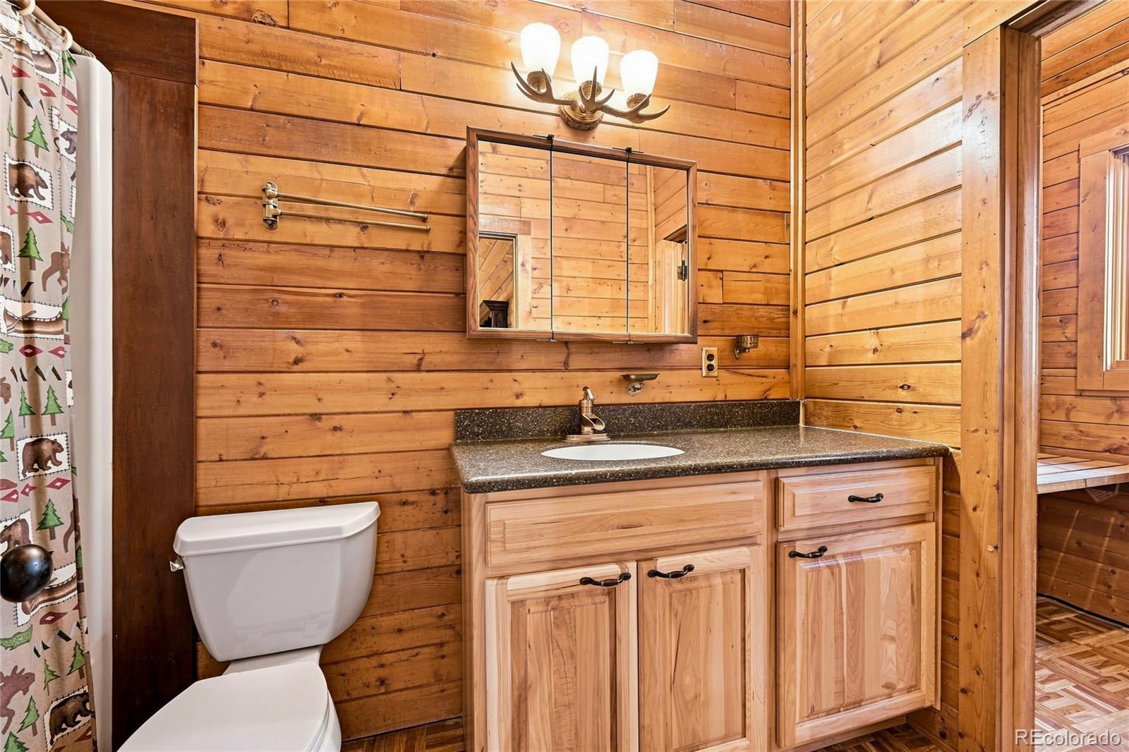 MLS Image #19 for 11073  mill hollow road,littleton, Colorado