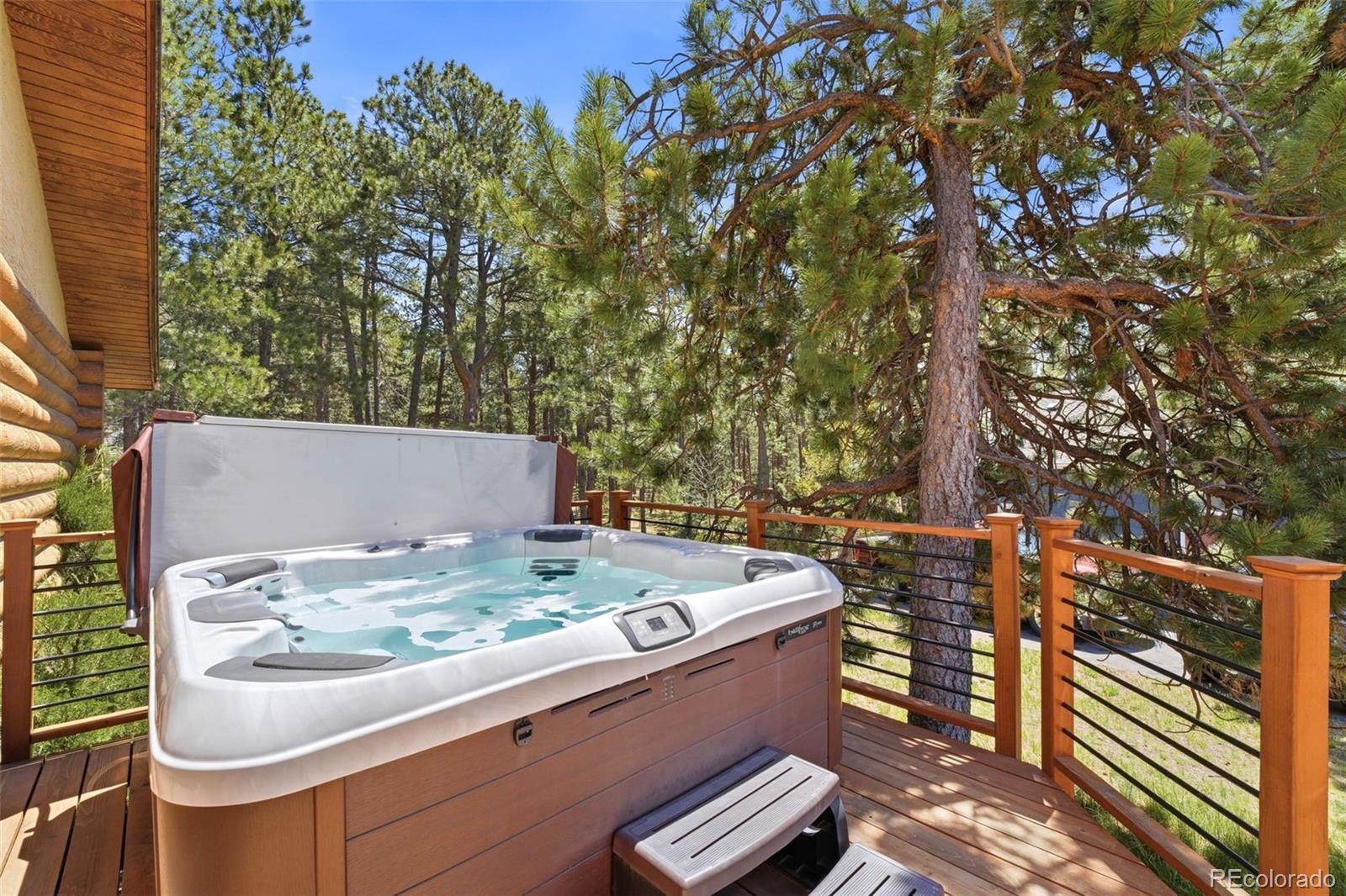 MLS Image #44 for 95 n sherwood glen,monument, Colorado