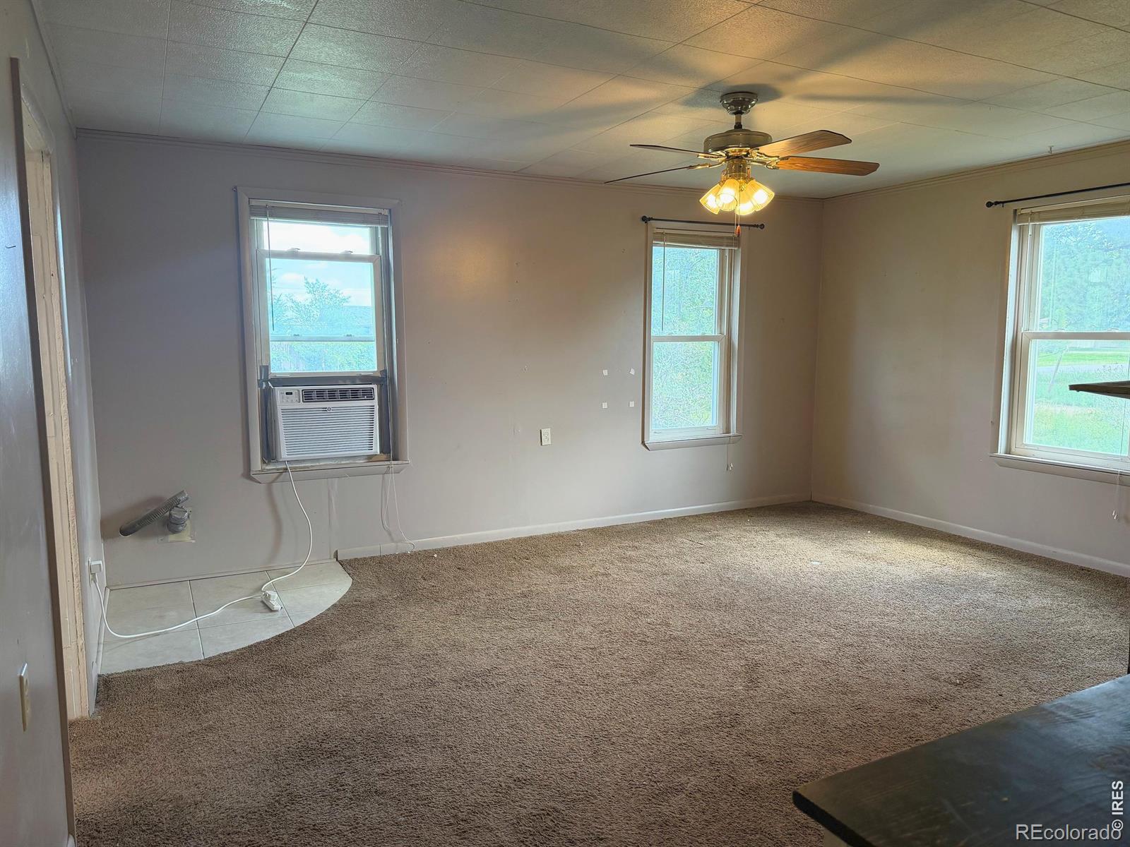 MLS Image #10 for 510  north street,peetz, Colorado