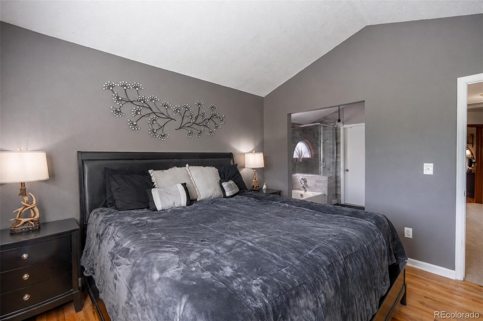 MLS Image #19 for 10102  telluride street,littleton, Colorado