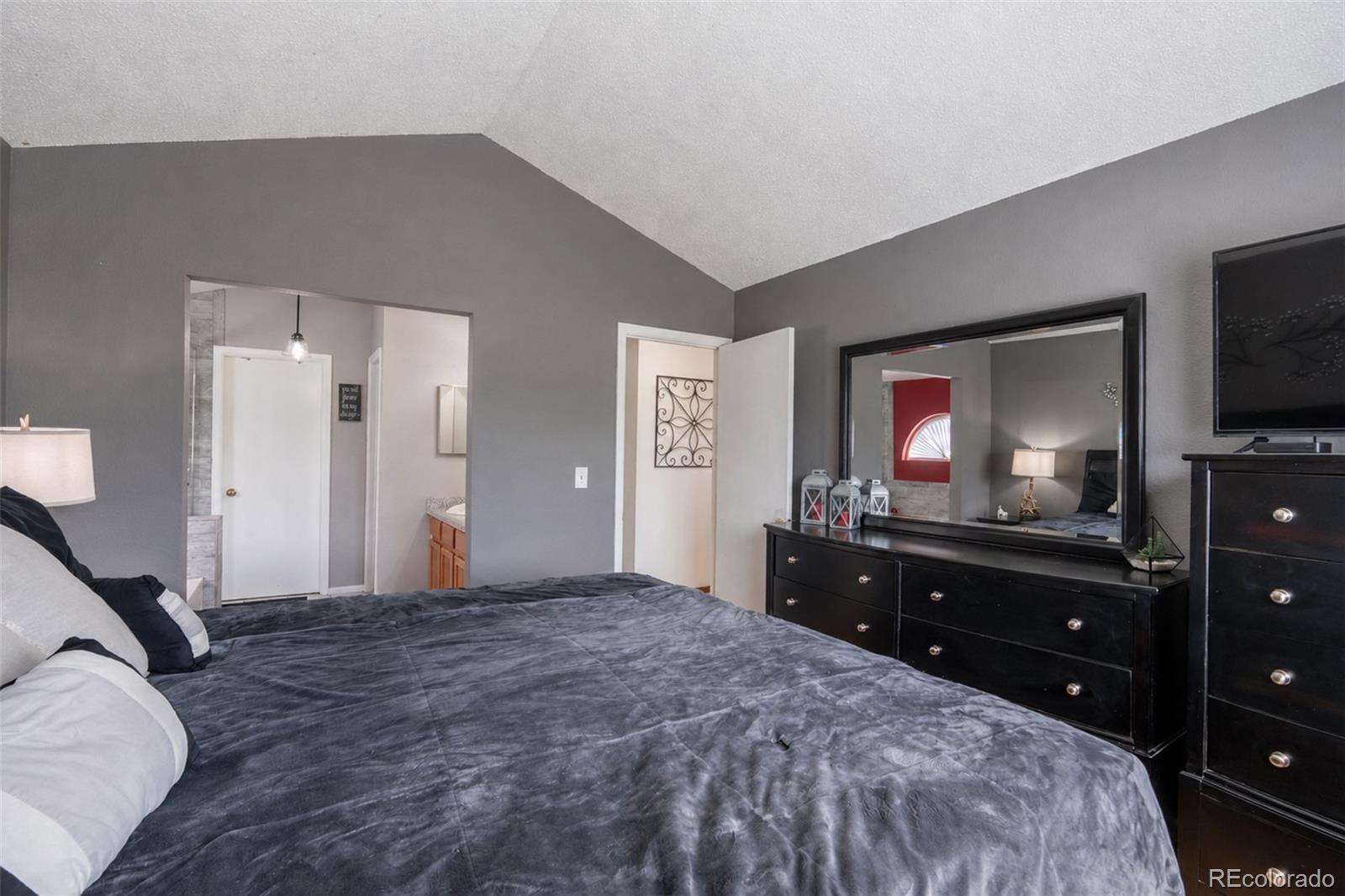 MLS Image #20 for 10102  telluride street,littleton, Colorado
