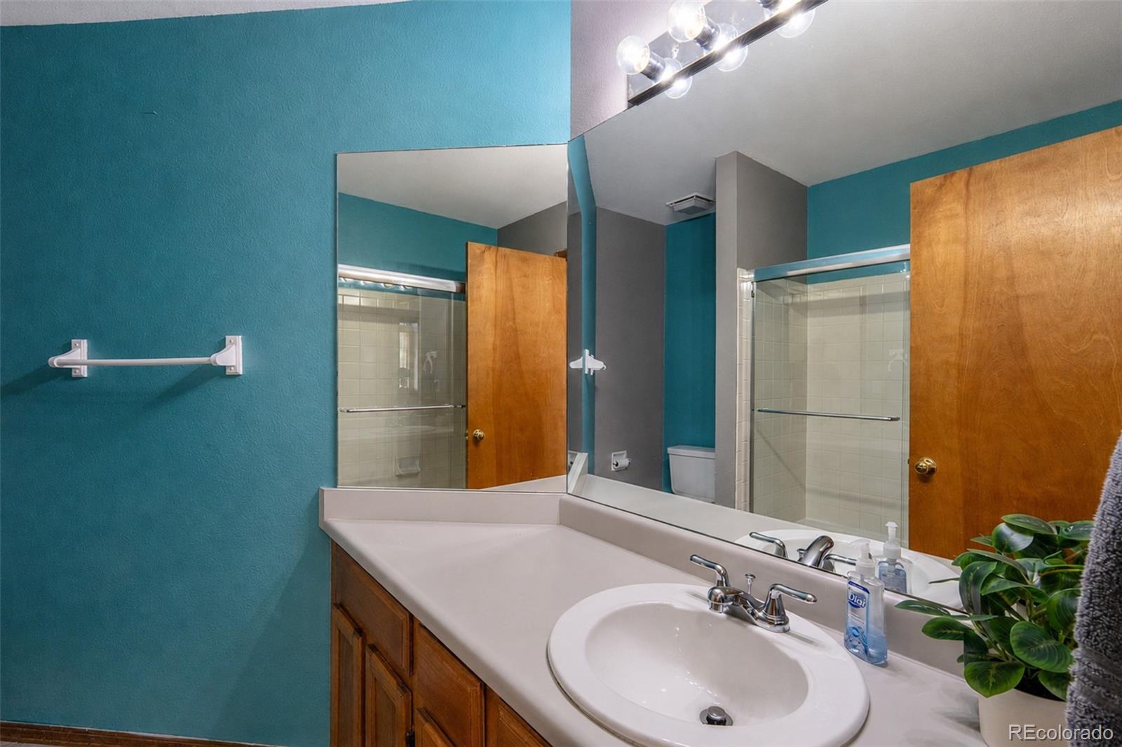 MLS Image #26 for 10102  telluride street,littleton, Colorado
