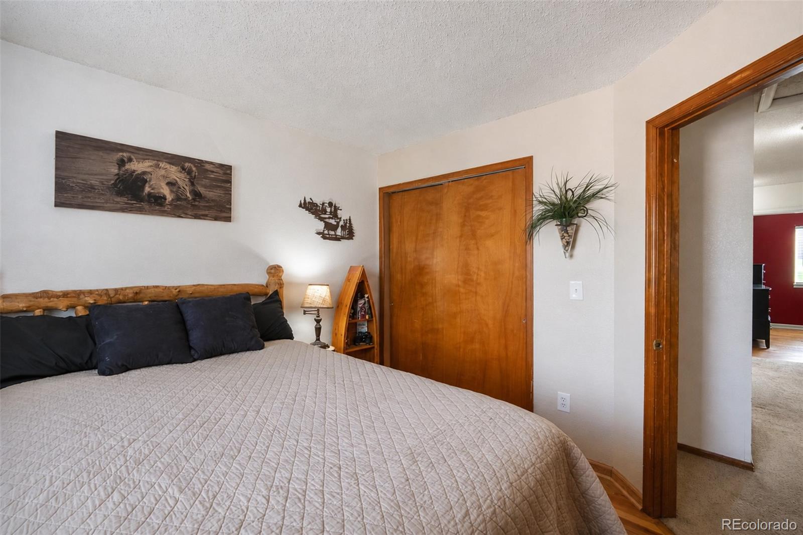 MLS Image #29 for 10102  telluride street,littleton, Colorado