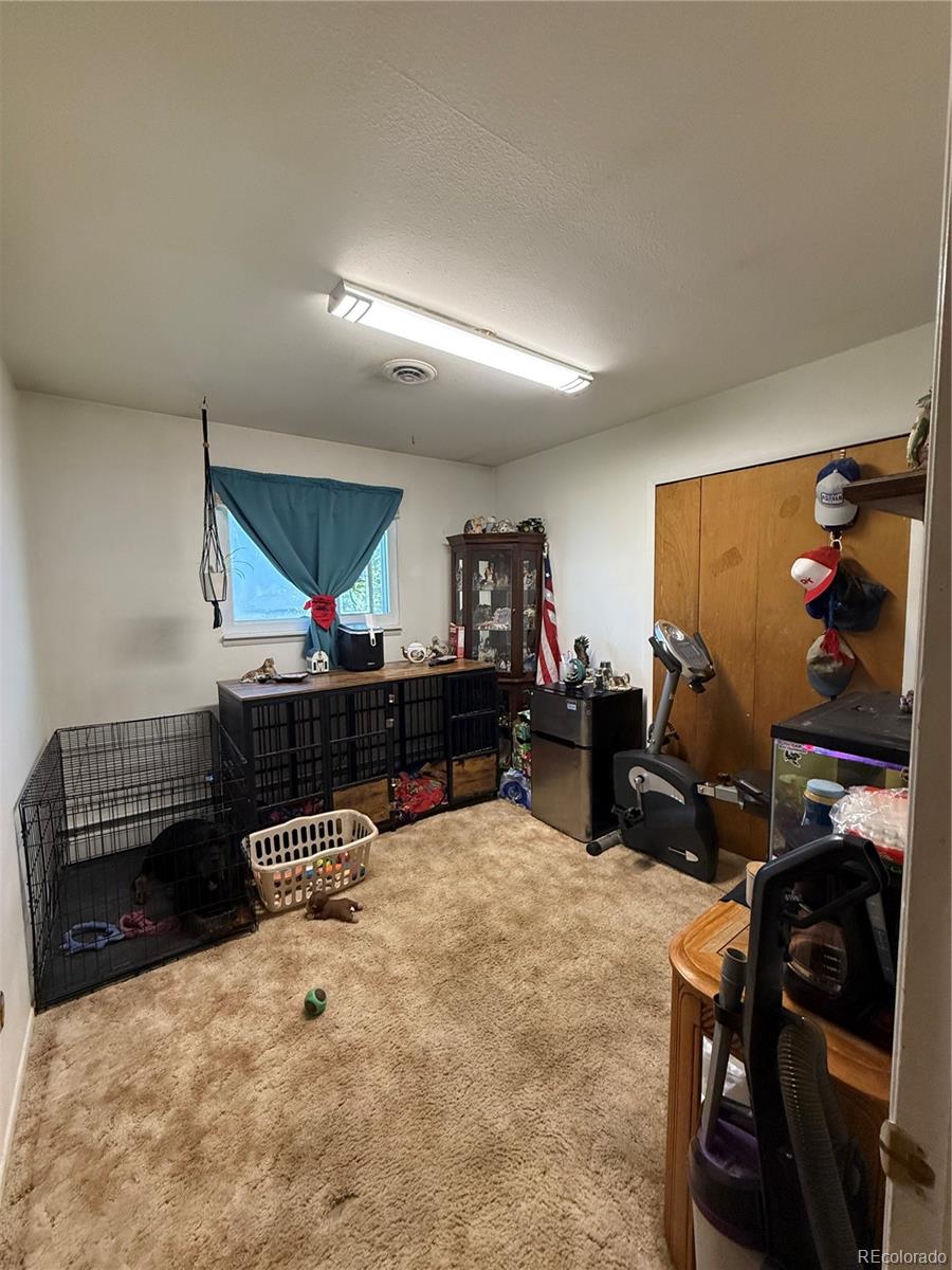 MLS Image #13 for 242 s 2nd avenue,byers, Colorado