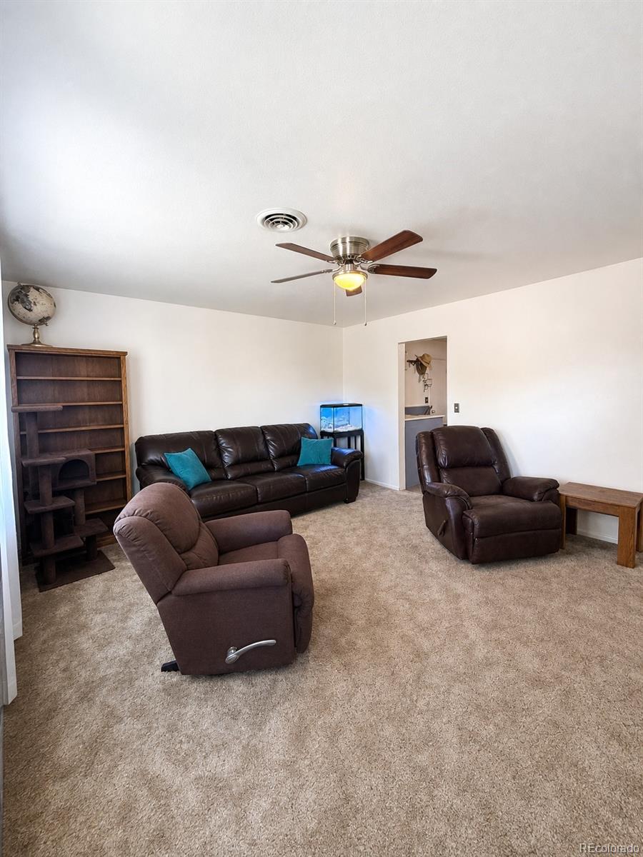 MLS Image #5 for 242 s 2nd avenue,byers, Colorado