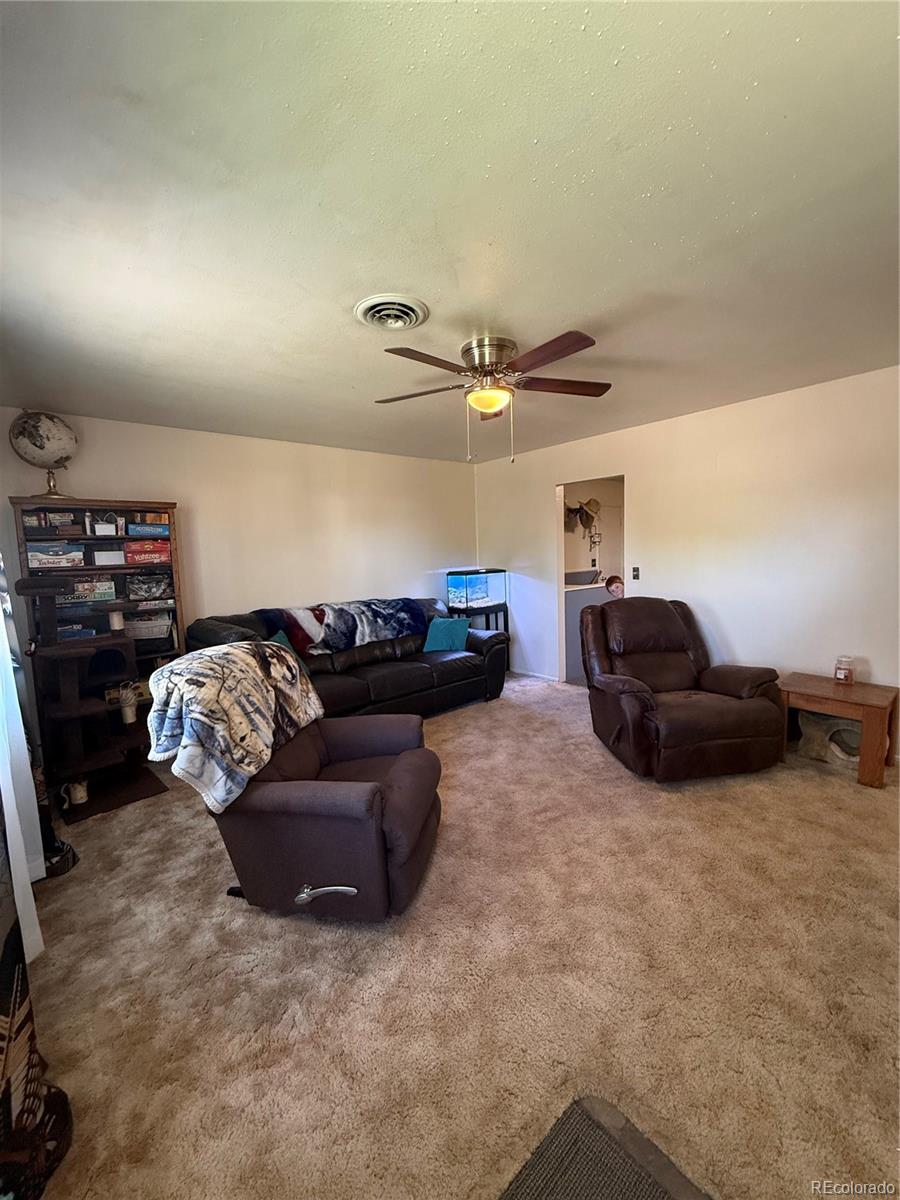 MLS Image #6 for 242 s 2nd avenue,byers, Colorado