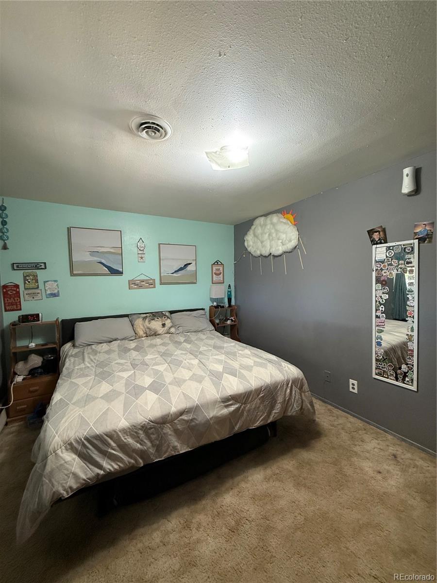 MLS Image #7 for 242 s 2nd avenue,byers, Colorado