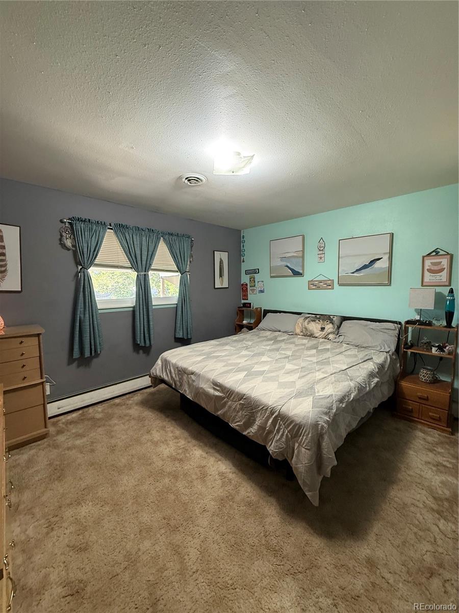MLS Image #8 for 242 s 2nd avenue,byers, Colorado
