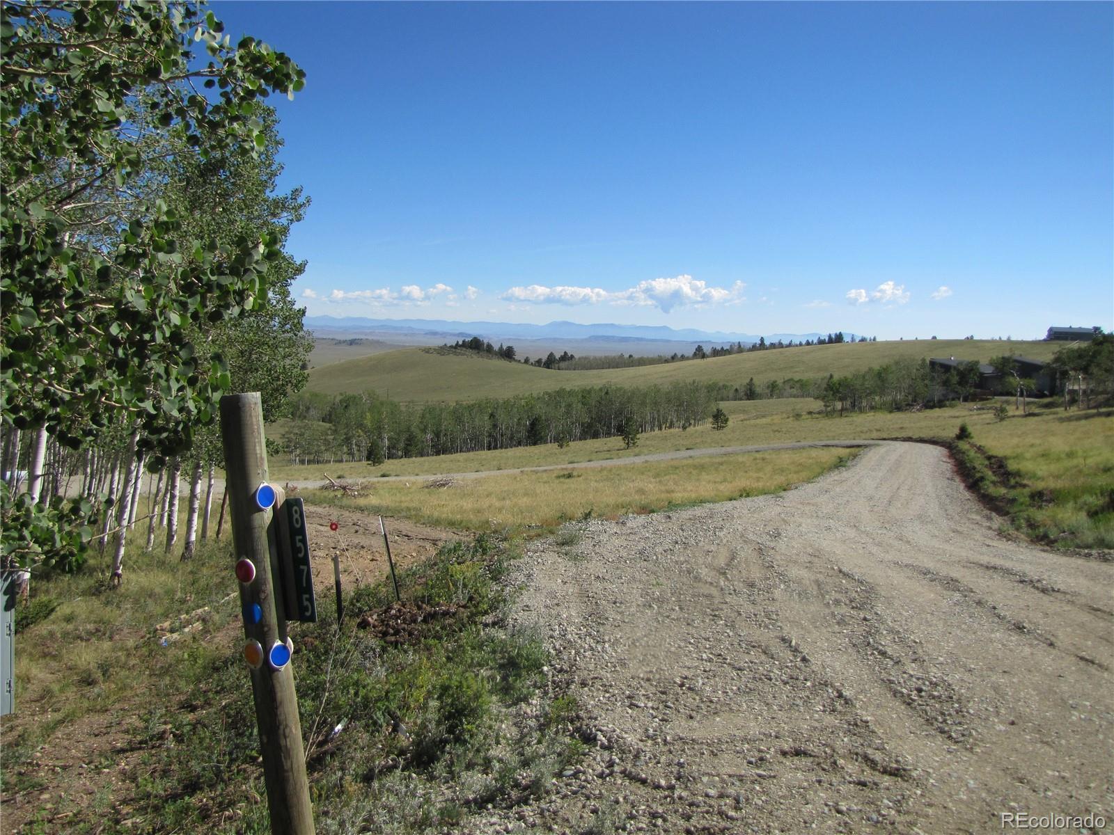 MLS Image #30 for 8575  ranch road,hartsel, Colorado