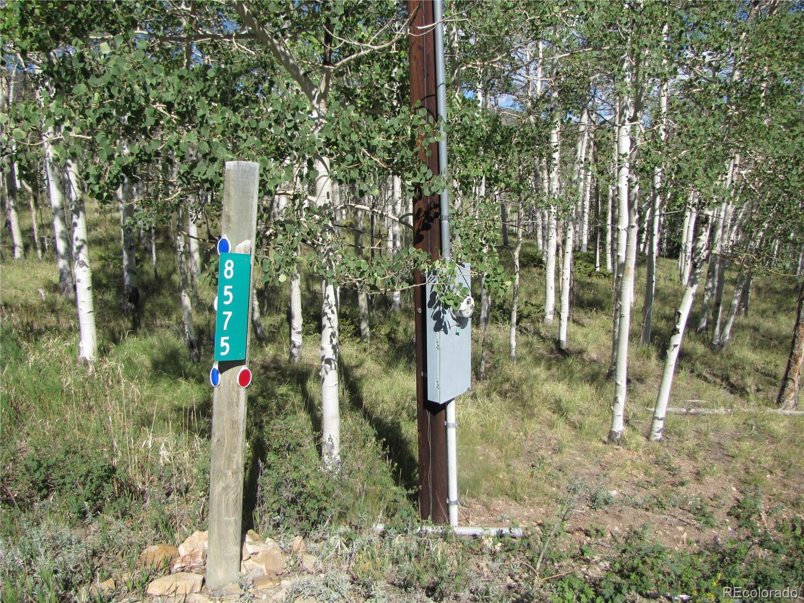 MLS Image #36 for 8575  ranch road,hartsel, Colorado