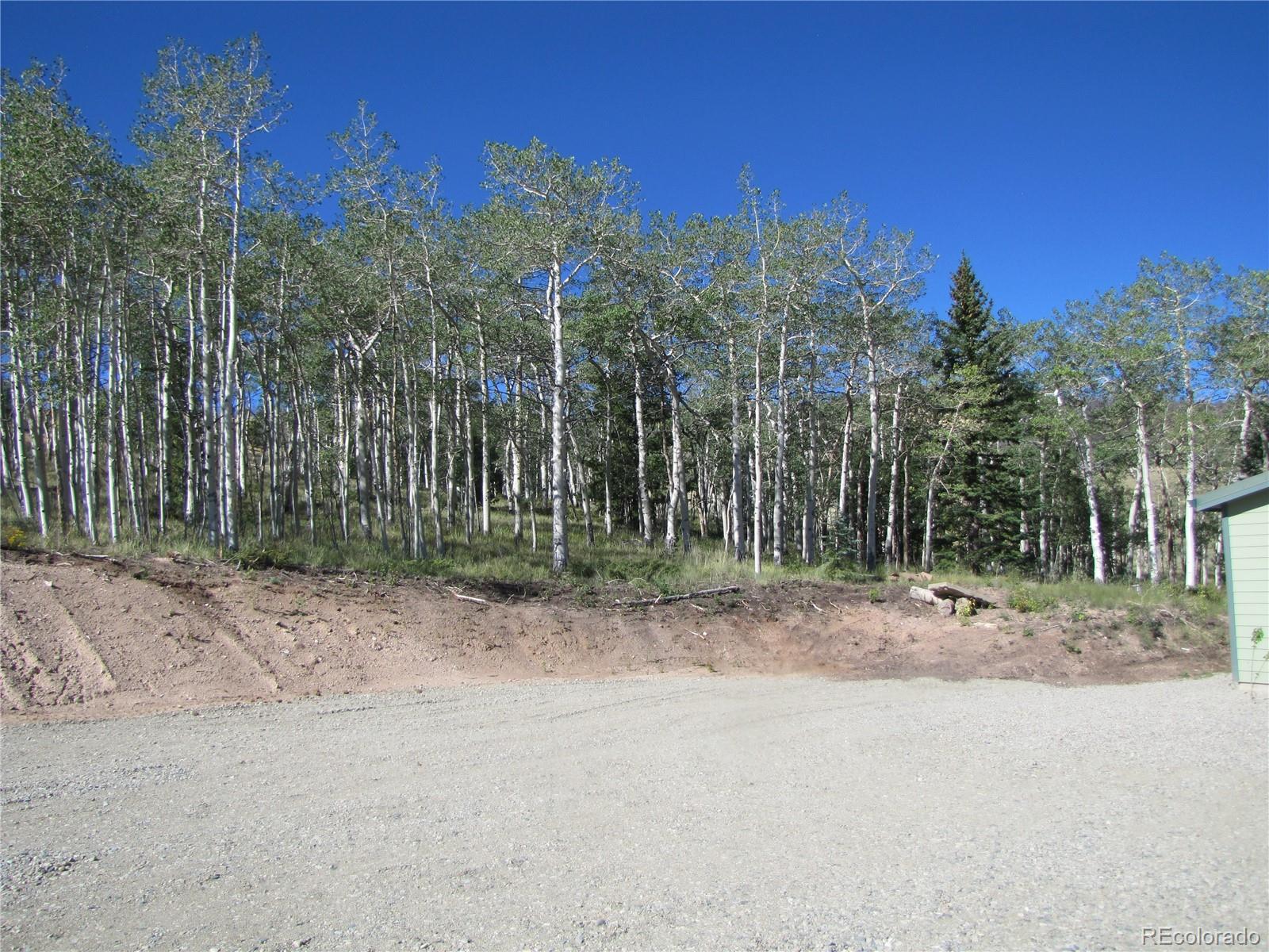 MLS Image #7 for 8575  ranch road,hartsel, Colorado