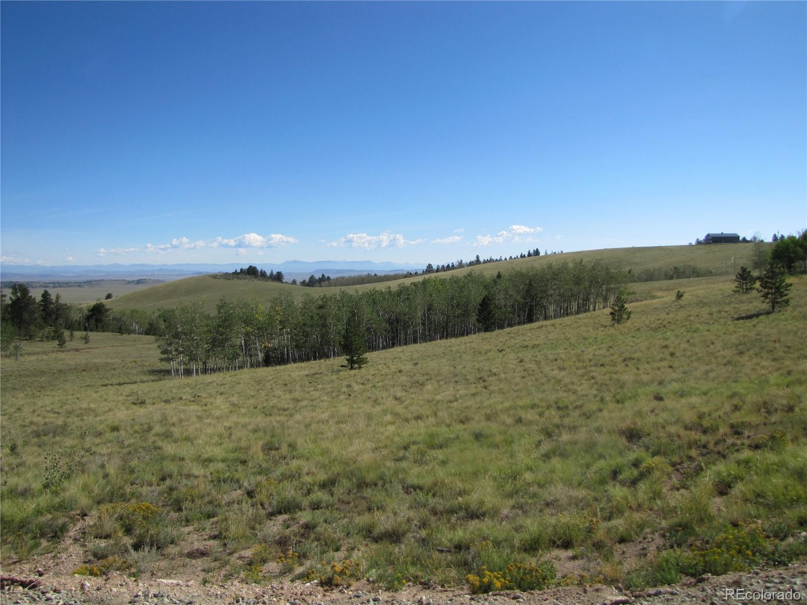 MLS Image #8 for 8575  ranch road,hartsel, Colorado