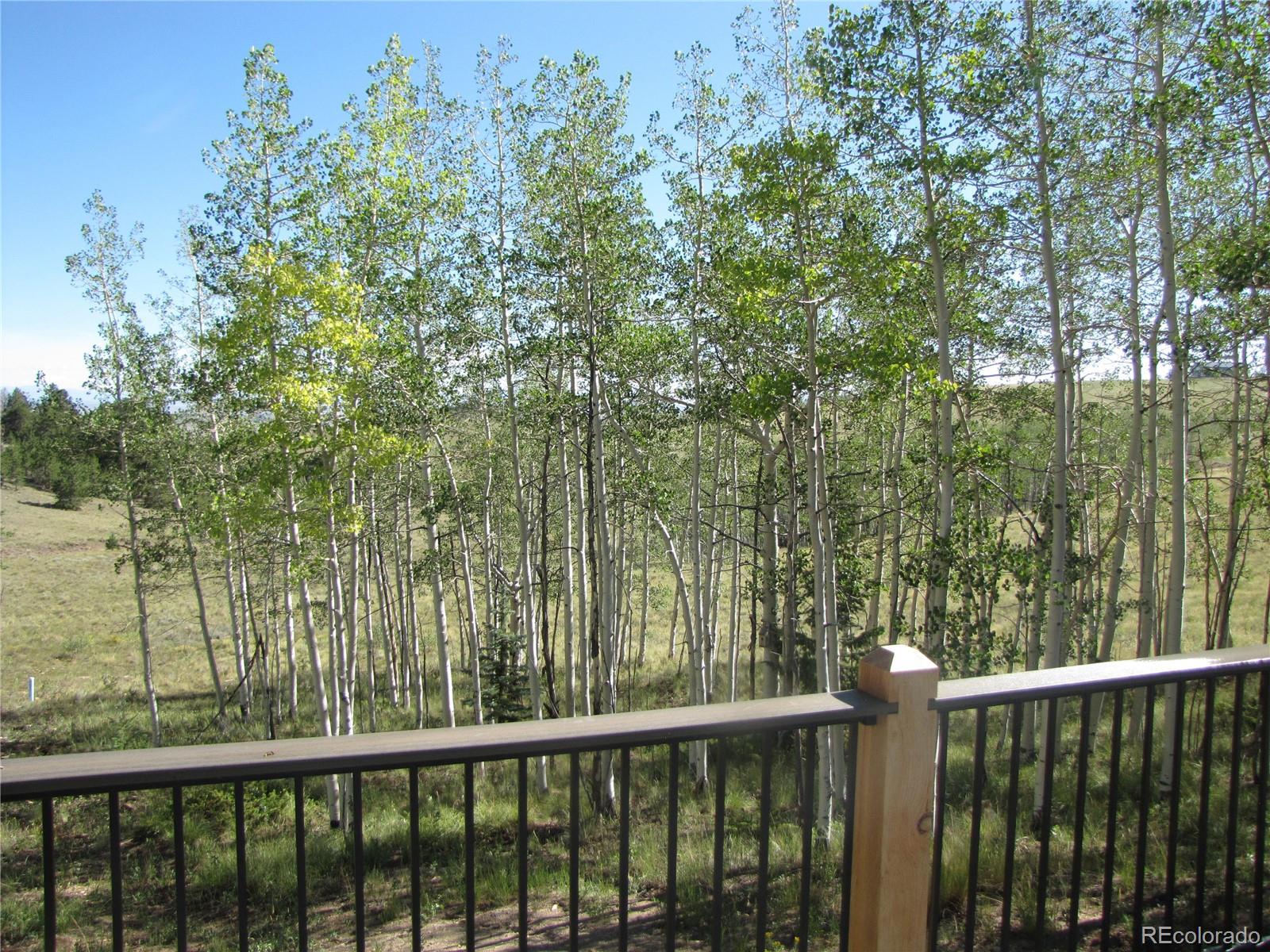 MLS Image #9 for 8575  ranch road,hartsel, Colorado