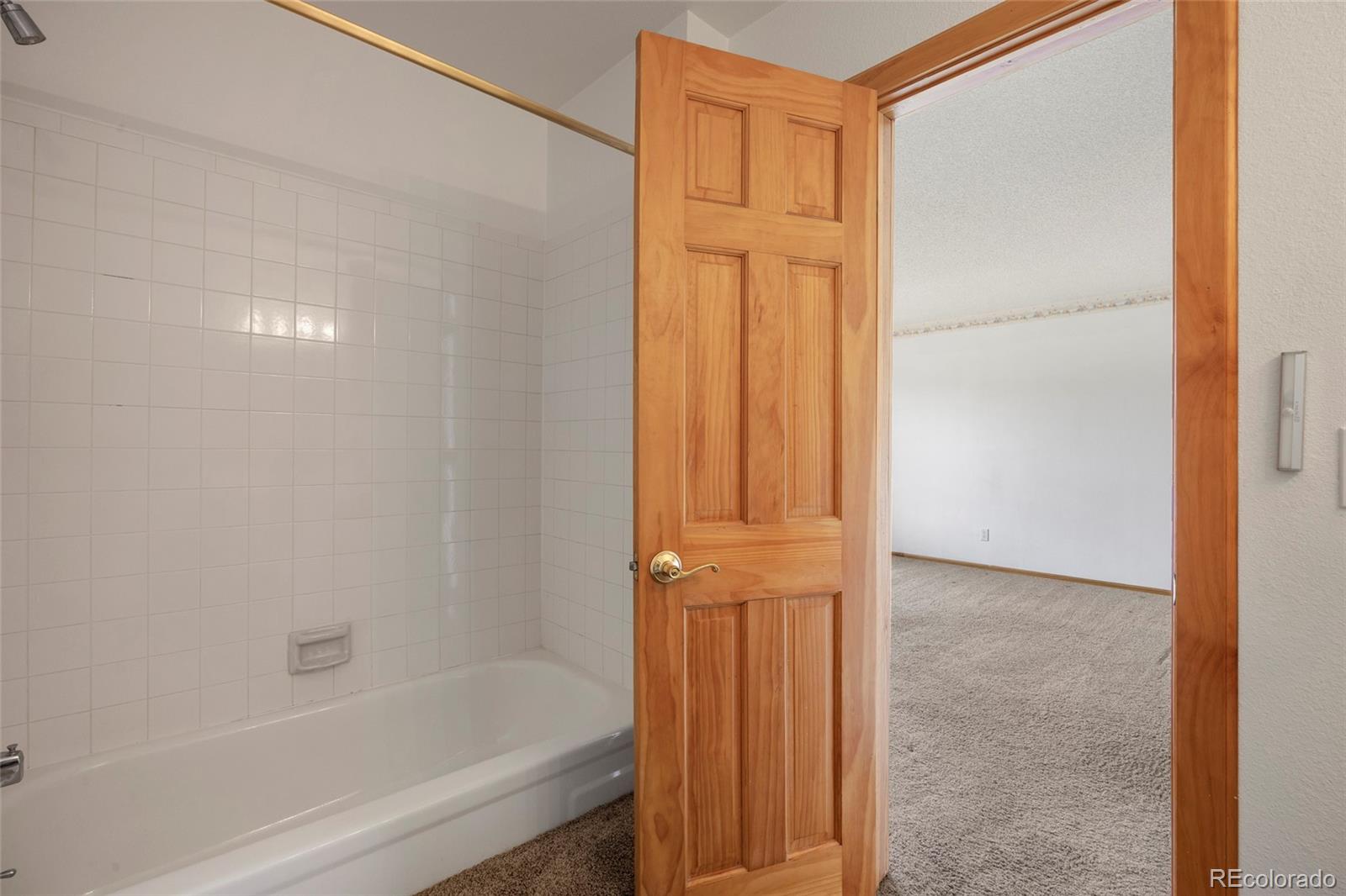 MLS Image #17 for 3409 s ammons street,denver, Colorado