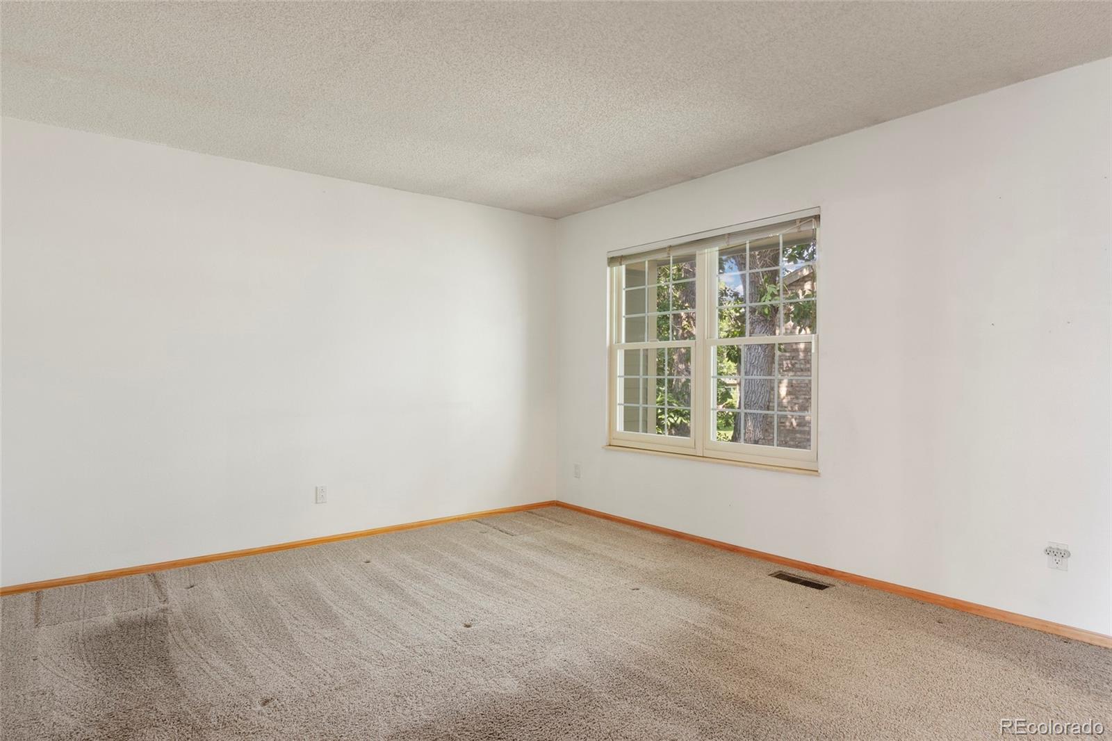 MLS Image #18 for 3409 s ammons street,denver, Colorado
