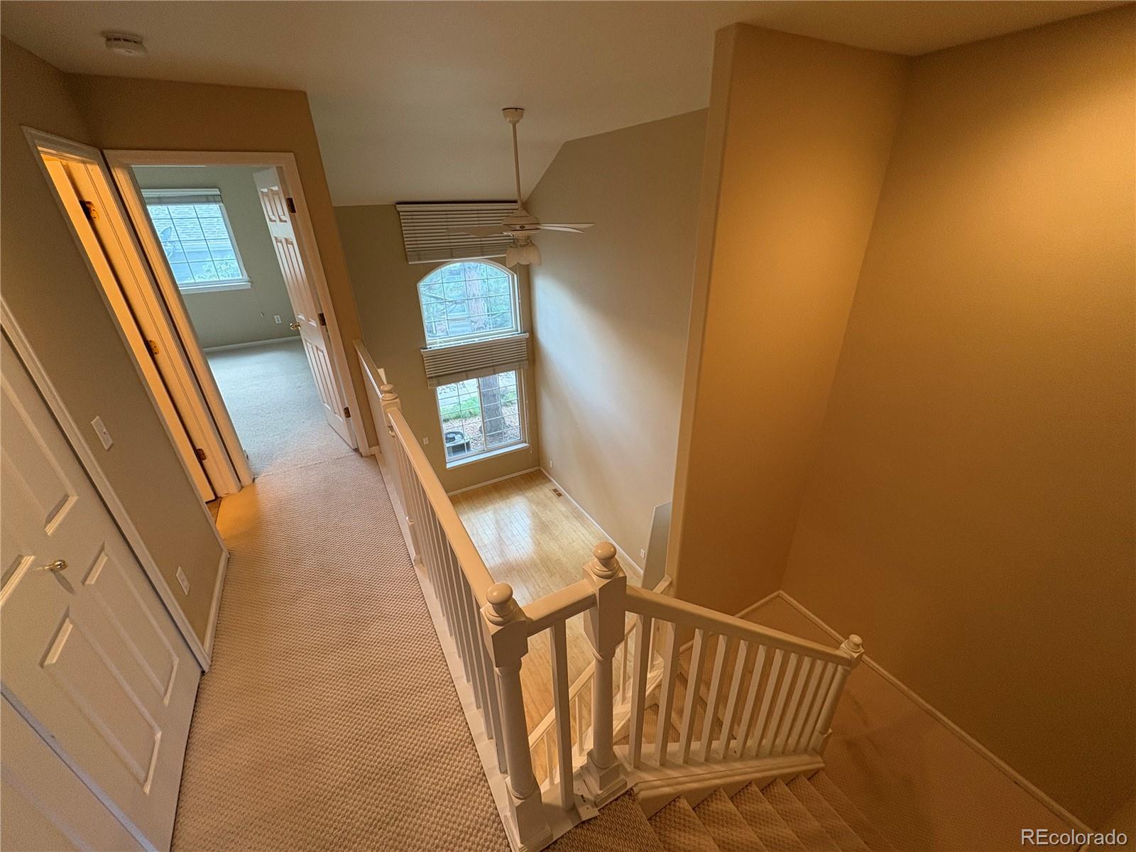 MLS Image #10 for 9604  brentwood way,broomfield, Colorado