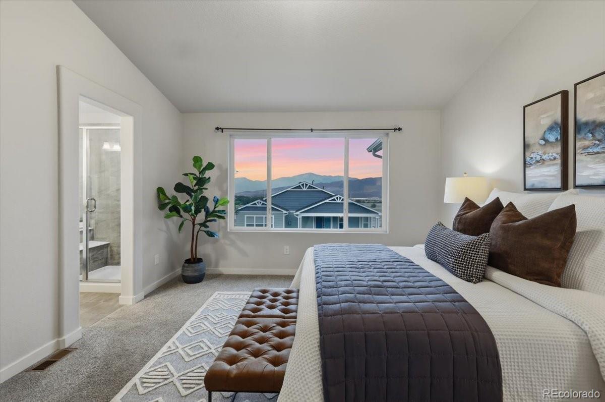 MLS Image #10 for 11040  falling snow lane,colorado springs, Colorado