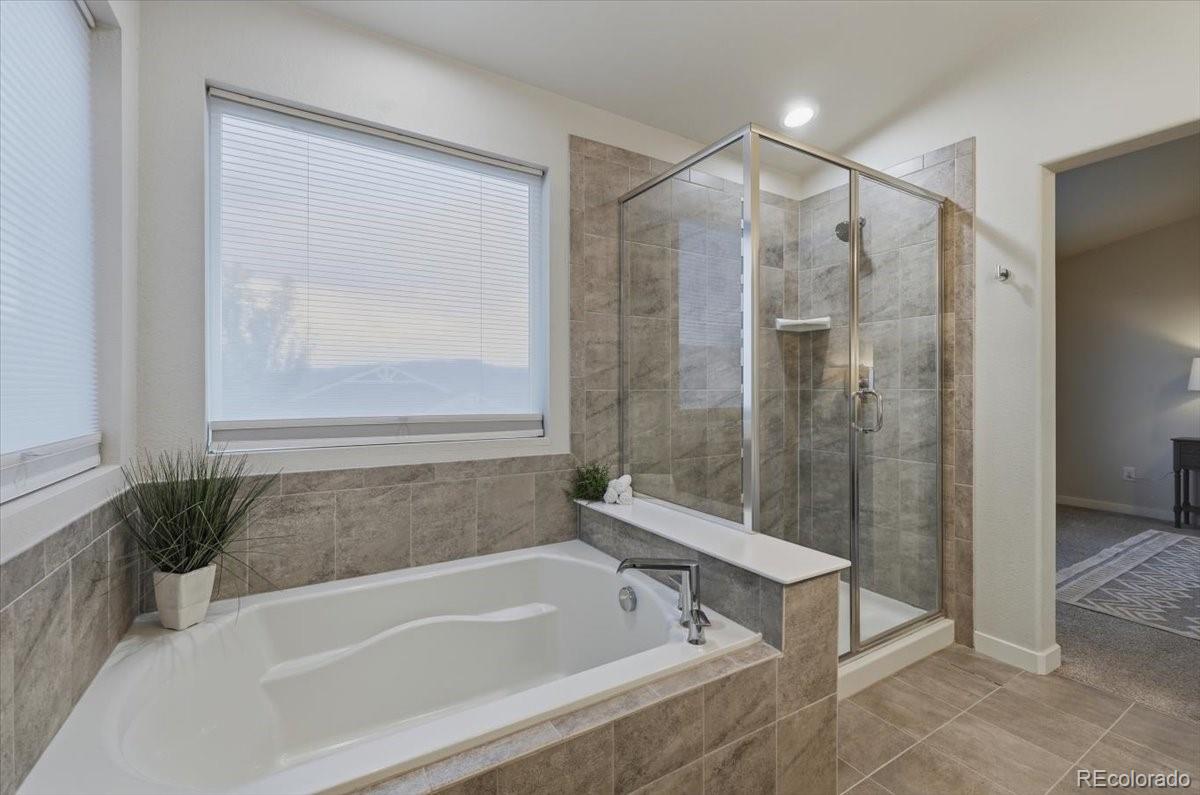 MLS Image #13 for 11040  falling snow lane,colorado springs, Colorado