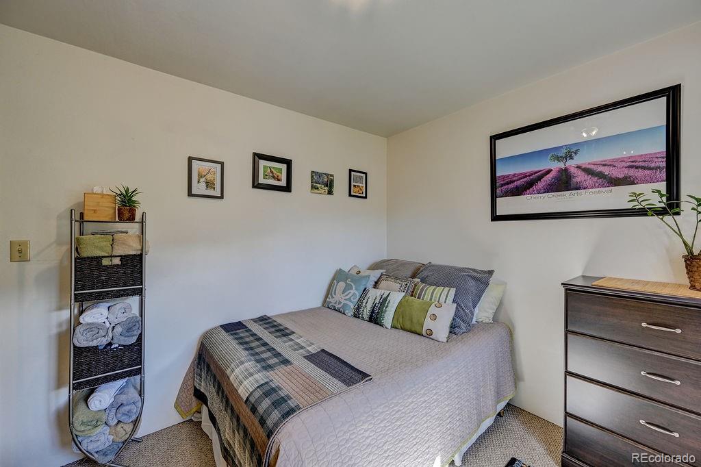 MLS Image #10 for 33733  county road 373a ,buena vista, Colorado