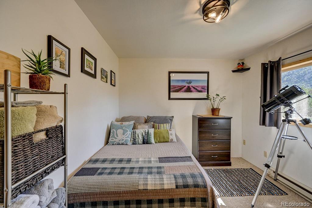 MLS Image #11 for 33733  county road 373a ,buena vista, Colorado