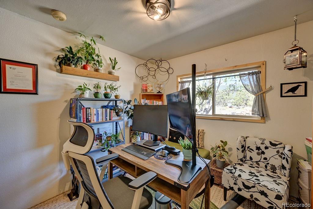 MLS Image #12 for 33733  county road 373a ,buena vista, Colorado