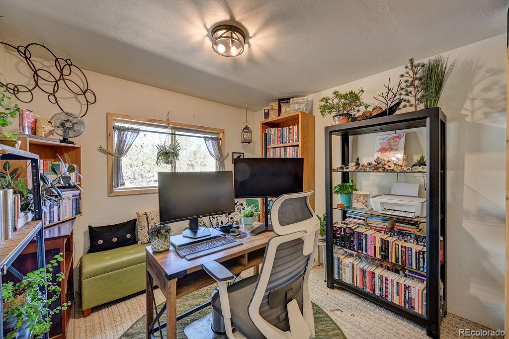 MLS Image #13 for 33733  county road 373a ,buena vista, Colorado
