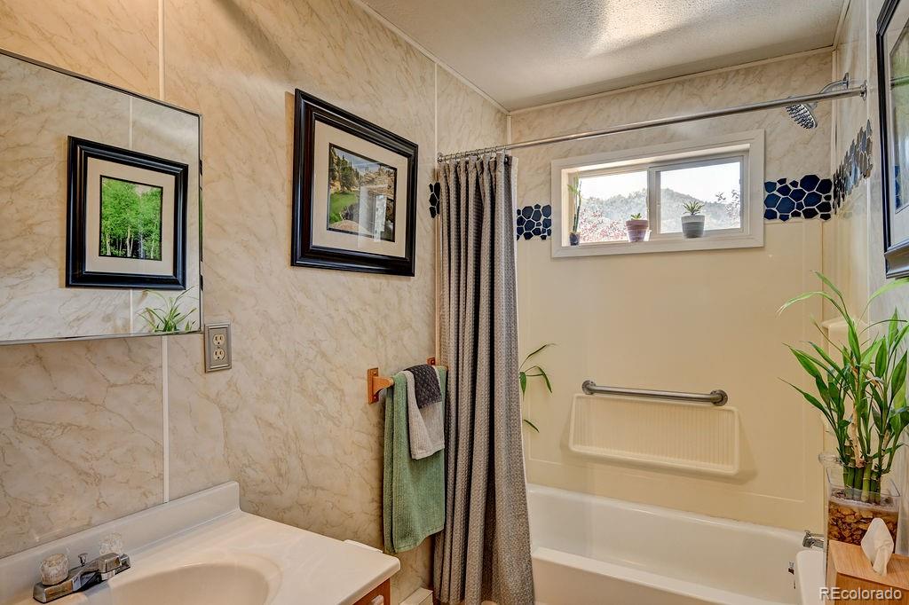 MLS Image #15 for 33733  county road 373a ,buena vista, Colorado
