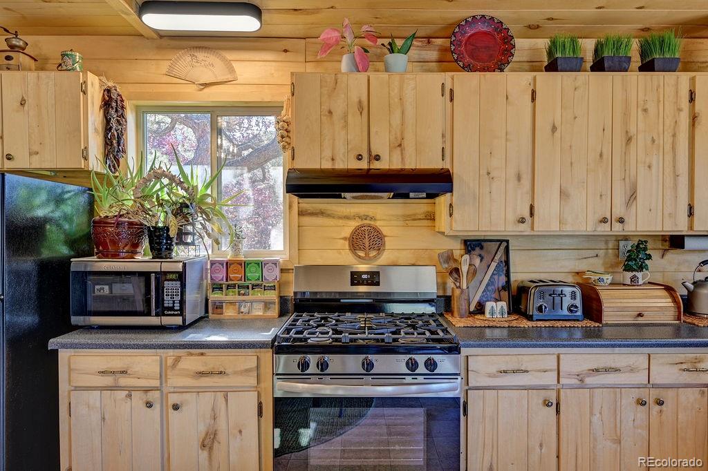 MLS Image #24 for 33733  county road 373a ,buena vista, Colorado