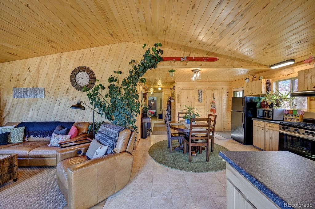 MLS Image #26 for 33733  county road 373a ,buena vista, Colorado
