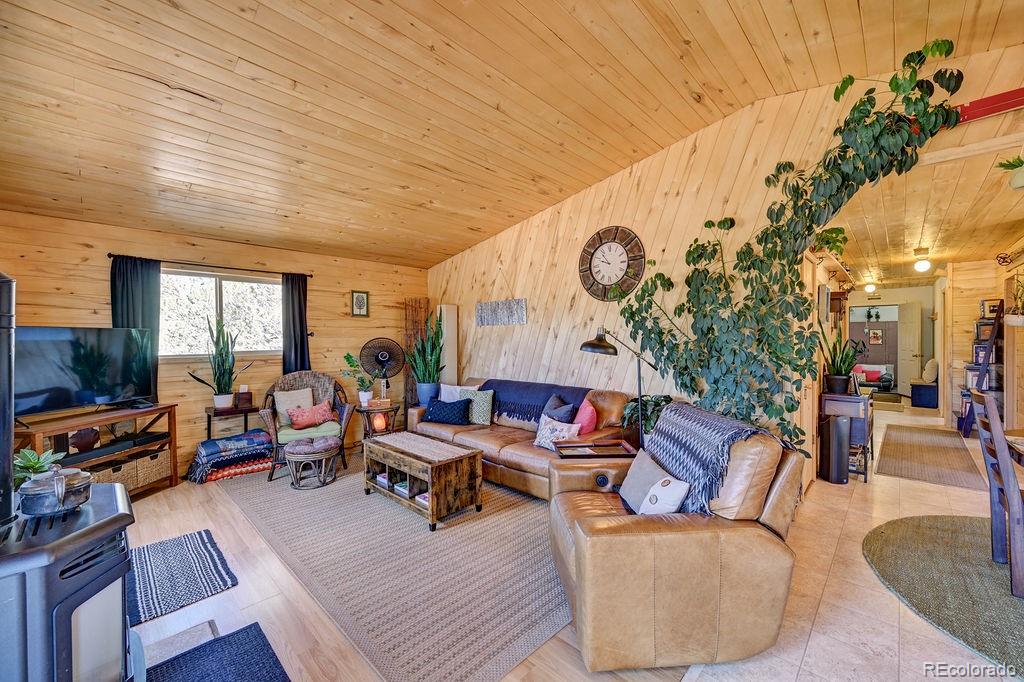 MLS Image #27 for 33733  county road 373a ,buena vista, Colorado