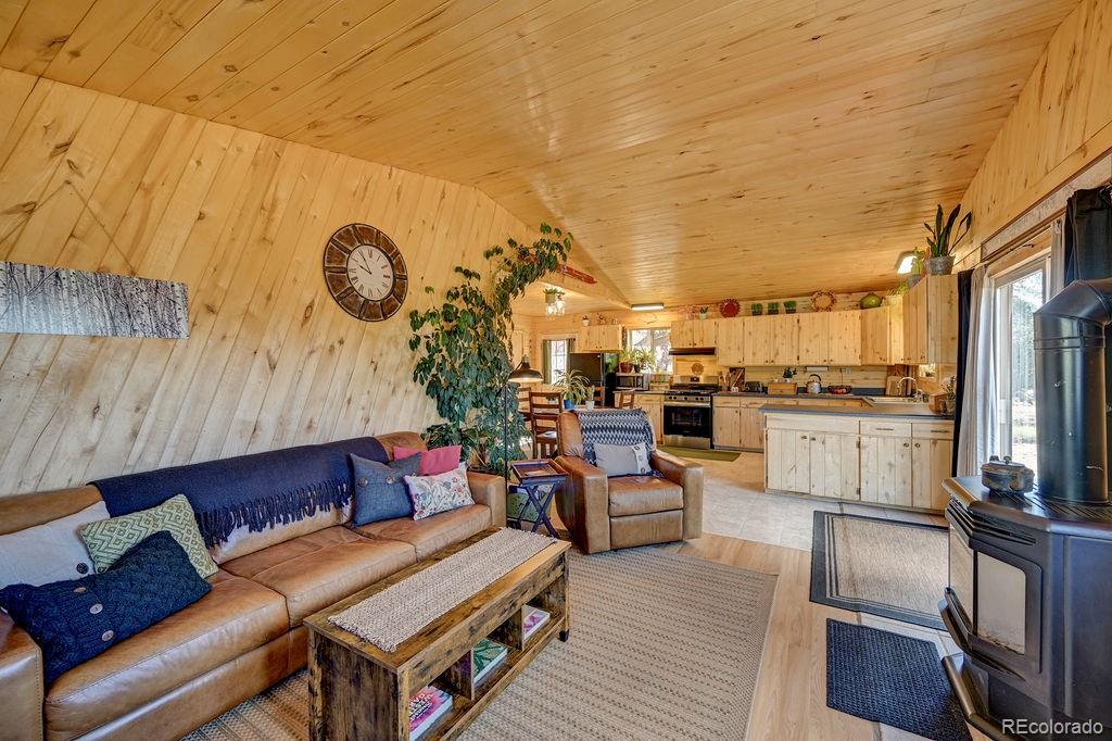 MLS Image #29 for 33733  county road 373a ,buena vista, Colorado