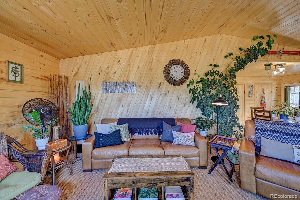 MLS Image #30 for 33733  county road 373a ,buena vista, Colorado