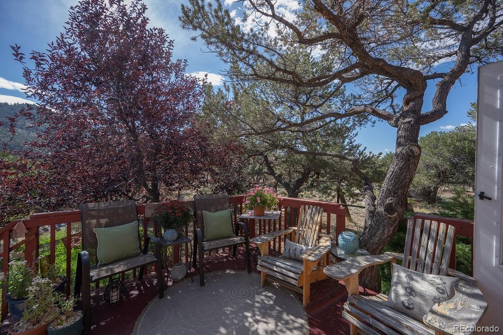 MLS Image #32 for 33733  county road 373a ,buena vista, Colorado