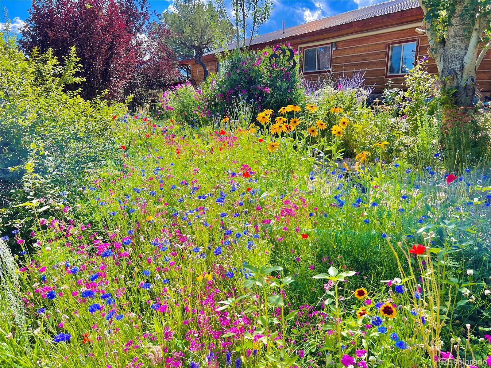 MLS Image #38 for 33733  county road 373a ,buena vista, Colorado