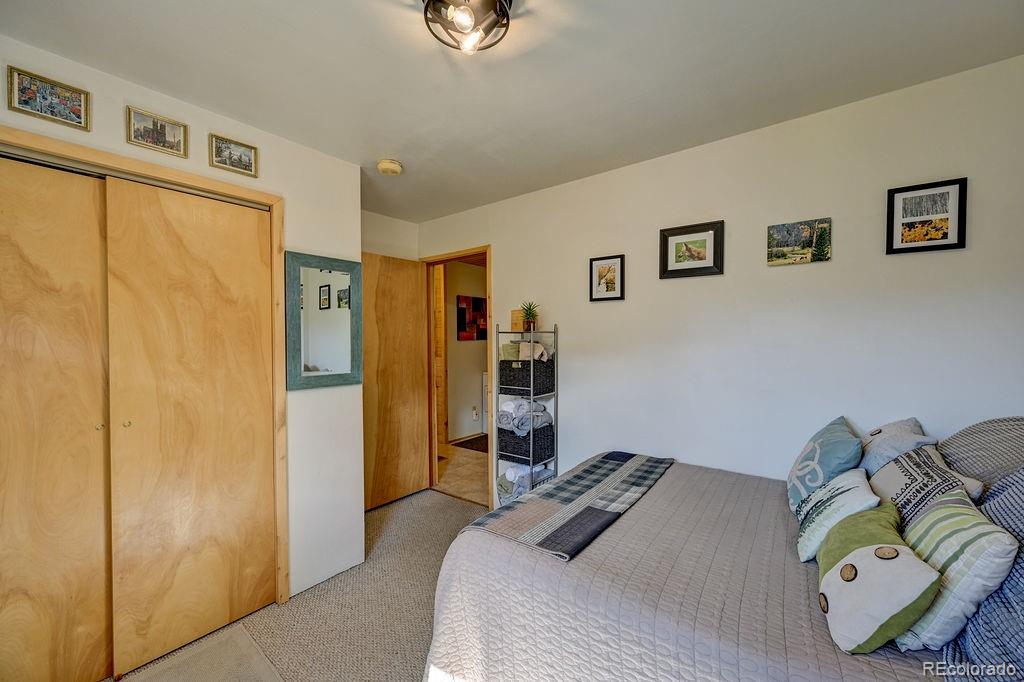 MLS Image #9 for 33733  county road 373a ,buena vista, Colorado