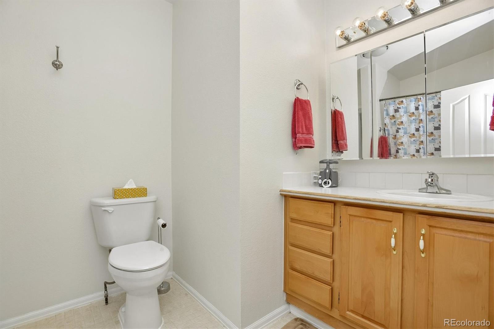 MLS Image #11 for 172  susan drive,buena vista, Colorado
