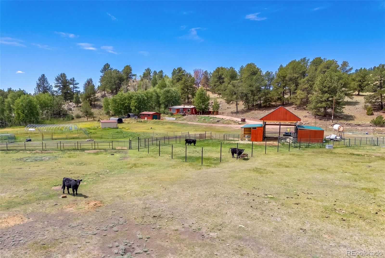 MLS Image #12 for 242  poplar lane,guffey, Colorado