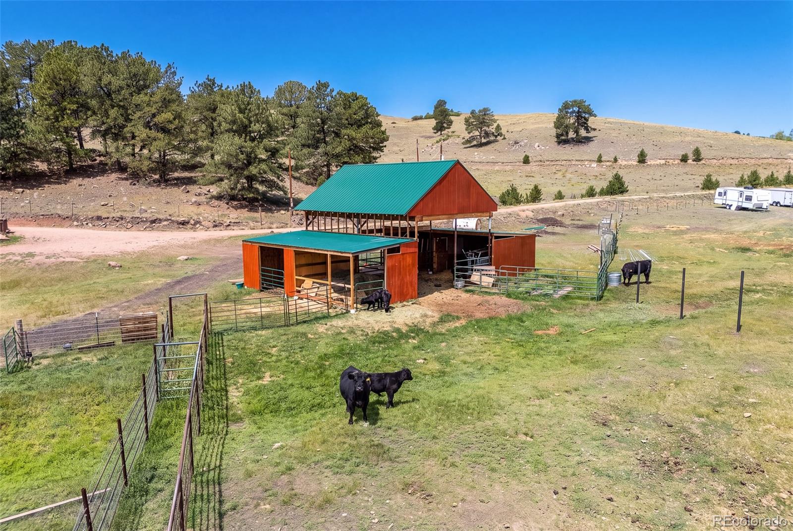 MLS Image #13 for 242  poplar lane,guffey, Colorado