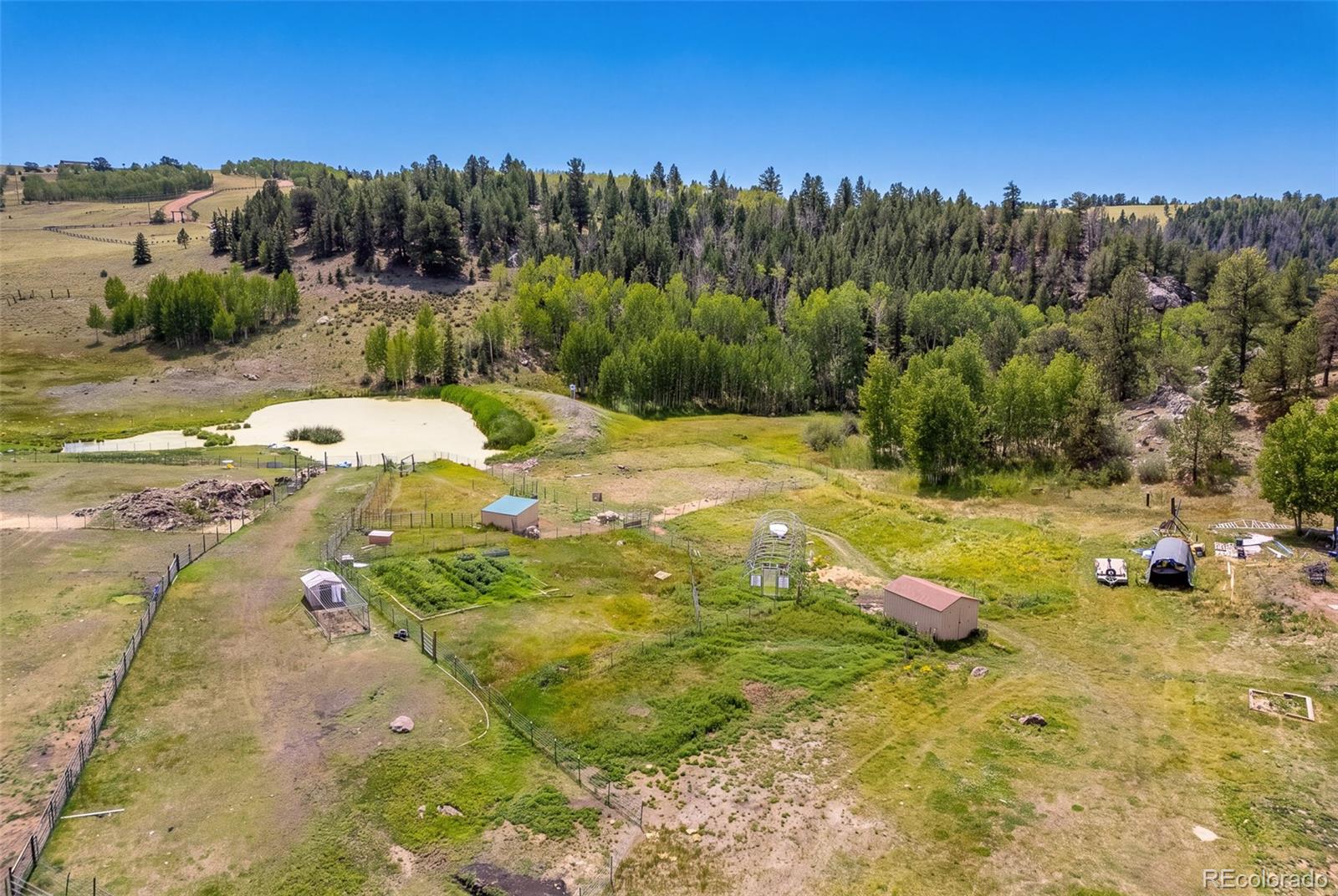 MLS Image #18 for 242  poplar lane,guffey, Colorado