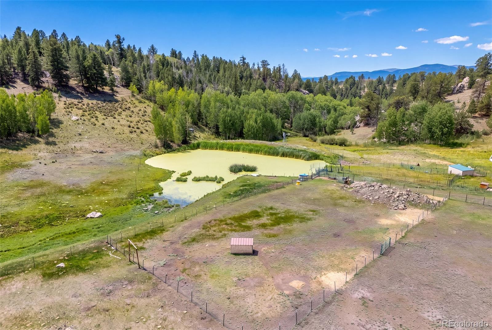 MLS Image #19 for 242  poplar lane,guffey, Colorado