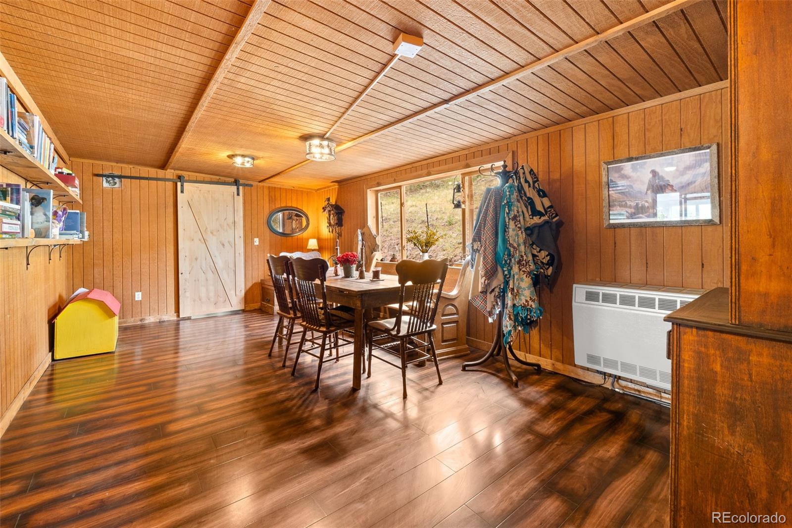 MLS Image #36 for 242  poplar lane,guffey, Colorado