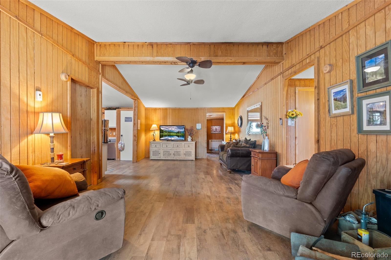 MLS Image #4 for 242  poplar lane,guffey, Colorado