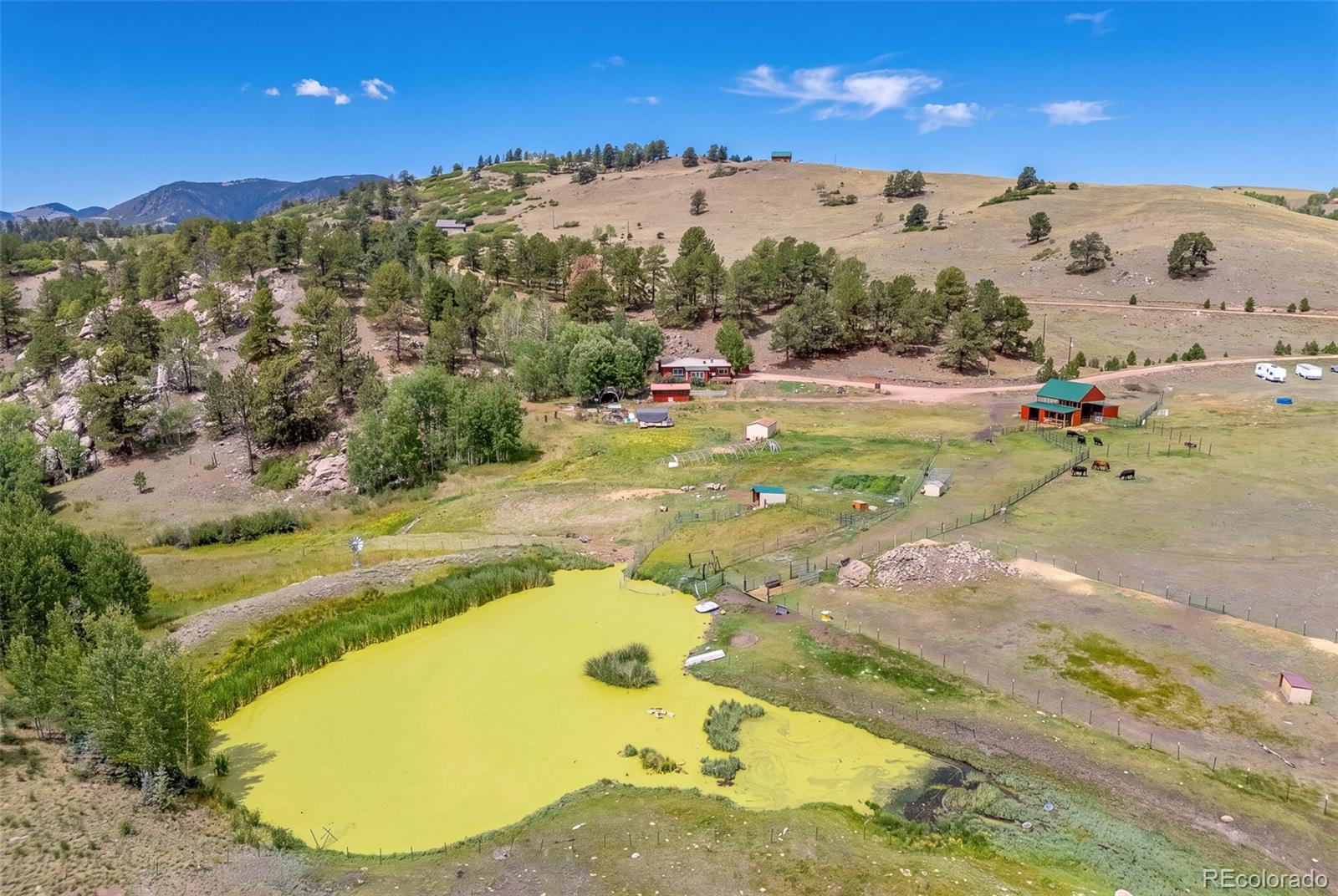 MLS Image #48 for 242  poplar lane,guffey, Colorado