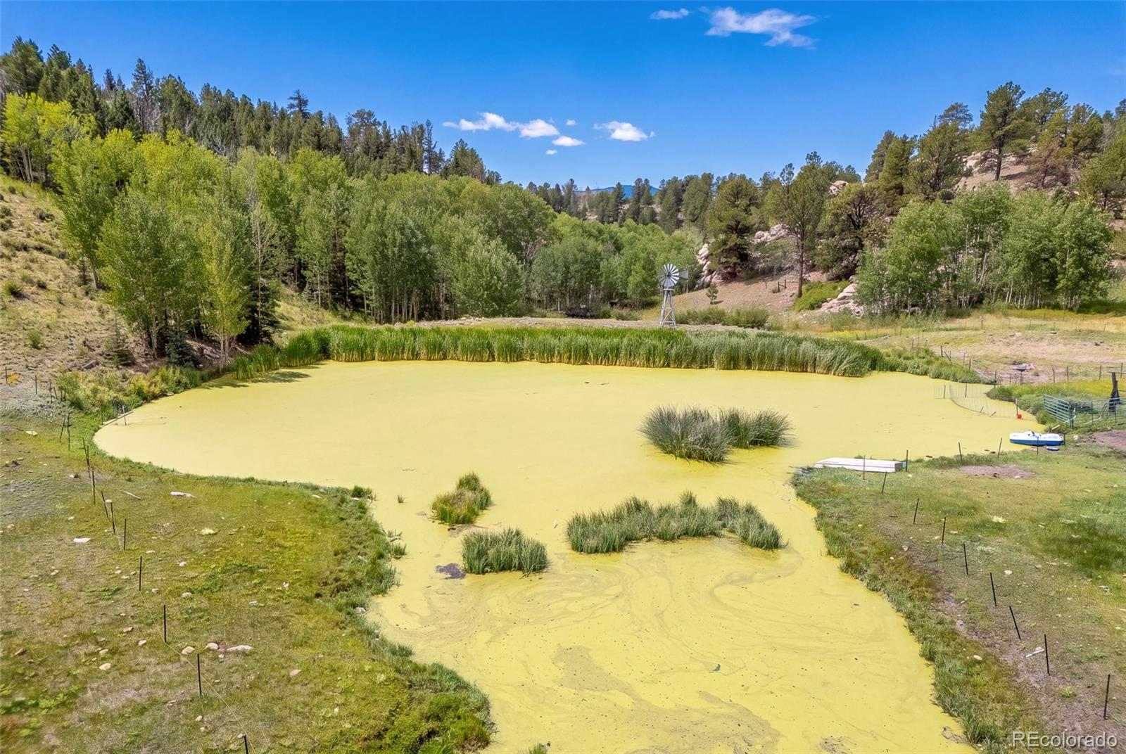 MLS Image #49 for 242  poplar lane,guffey, Colorado